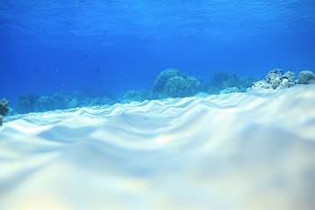 unknown(未知の海)【初版限定ポストカード付き】 | 鍵井 靖章