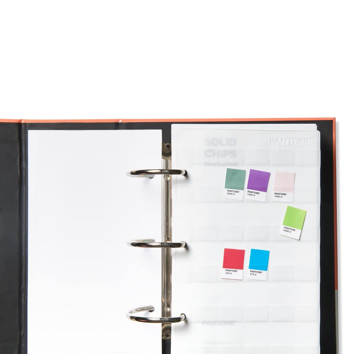 Amazon.co.jp: Pantone ソリッドチップ コーティング&コーティングなし