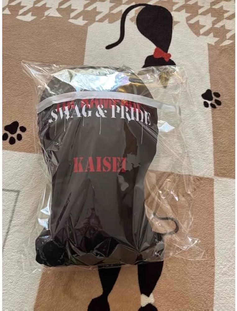 Amazon.co.jp: THE RAMPAGE 武知海青 SWAG & PRIDE クッション : おもちゃ