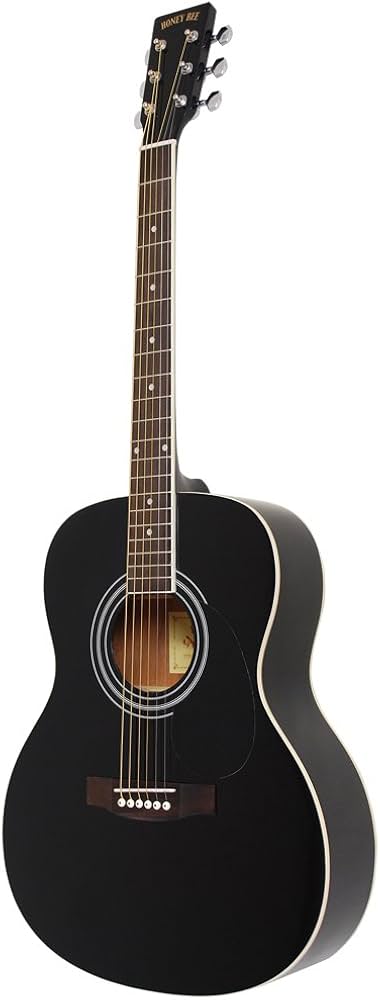 Amazon | HONEY BEE ハニービー アコースティックギター フォーク