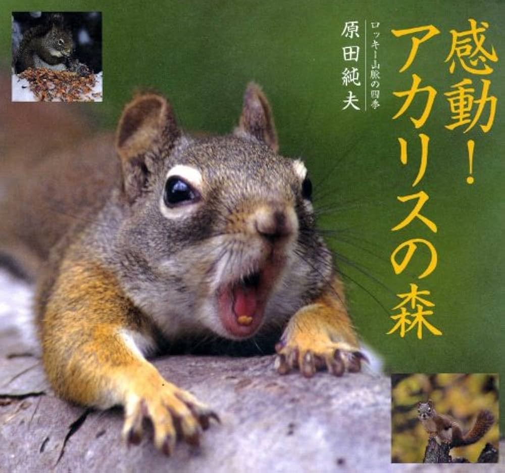 感動アカリスの森: ロッキー山脈の四季 | 原田 純夫 |本 | 通販 | Amazon