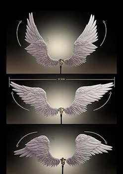 51gKYIJYwbL._AC_UF350,