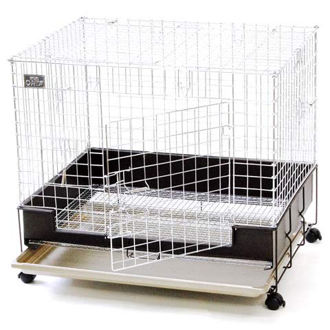 Amazon.co.jp: コンフォート60 チンチラスペシャル : ペット用品