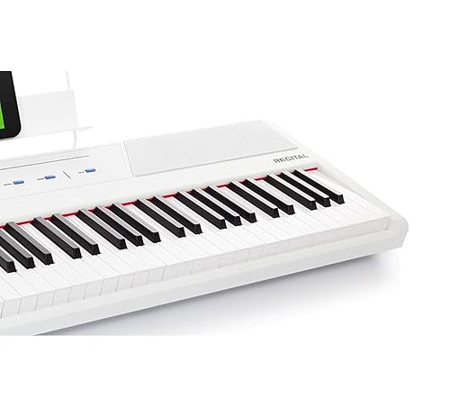 Amazon.com: Alesis Recital White - 88 Key Digital Piano Keyboard