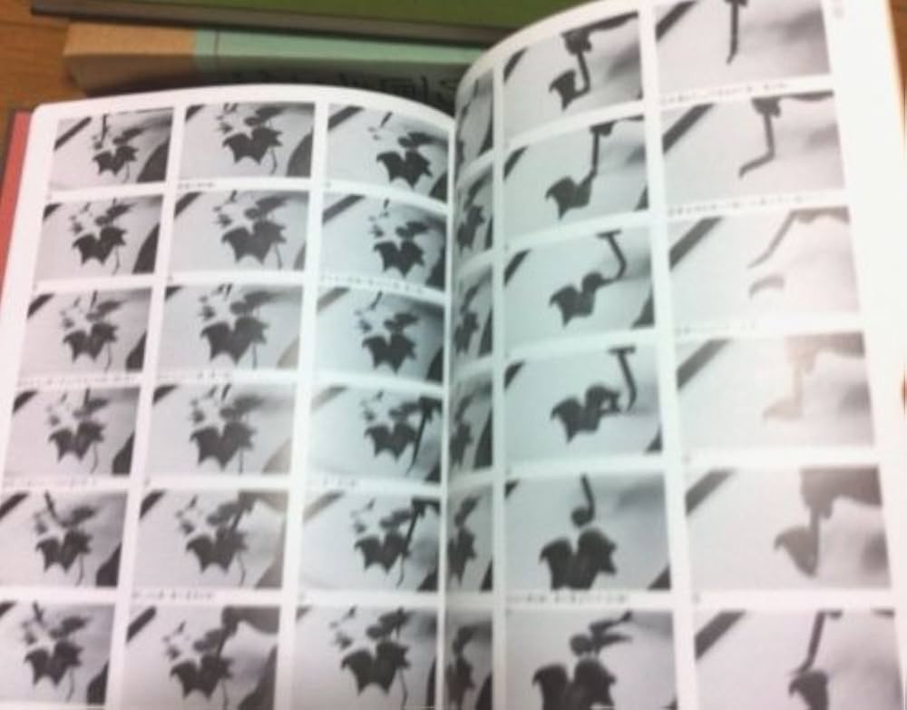 Amazon.co.jp: 川合玉堂の画手本 : Japanese Books