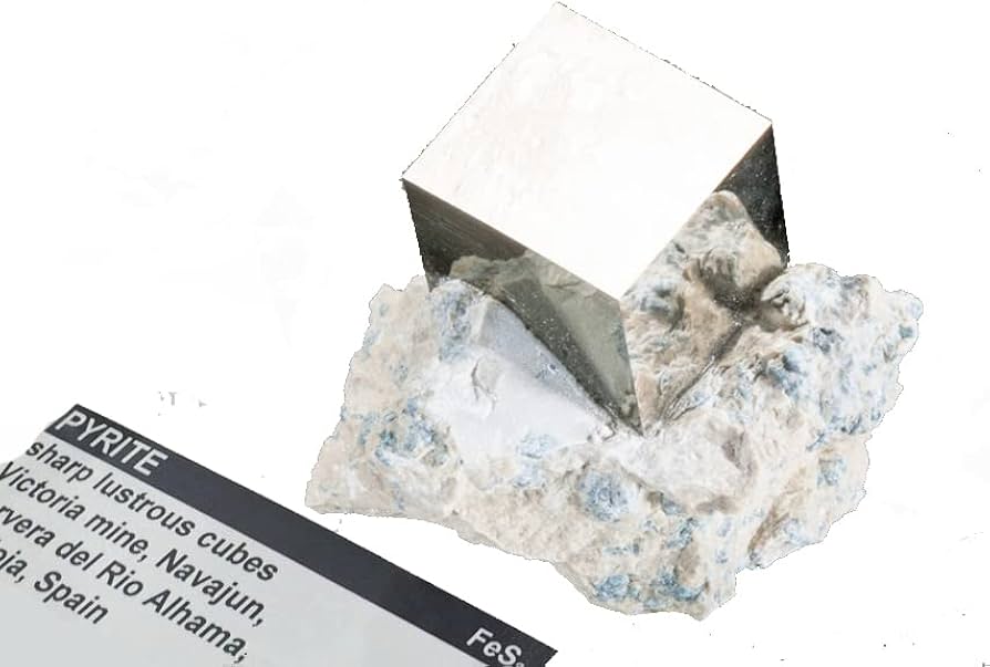 Amazon | SCIENCE 母岩付鉱物標本 鉱物結晶「母岩付 黄鉄鉱 (おうてっ