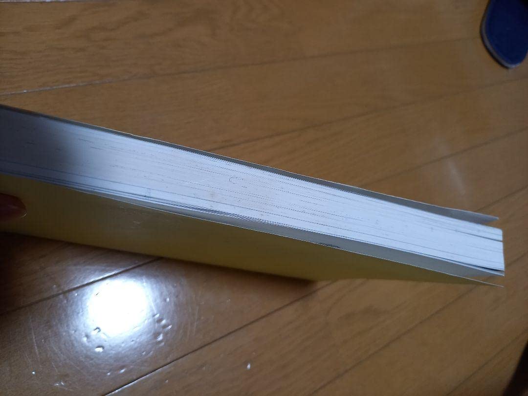 Amazon.co.jp: リトルウィッチ 白詰草話全原画集 初版 大槍 葦人 当時