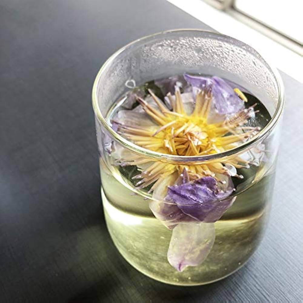 Amazon.co.jp: DFBFMO ドライフラワー 乾燥したナチュラルブルー