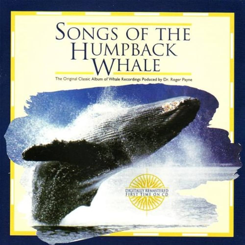 Amazon.co.jp: Songs of the Humpback Whale: ミュージック