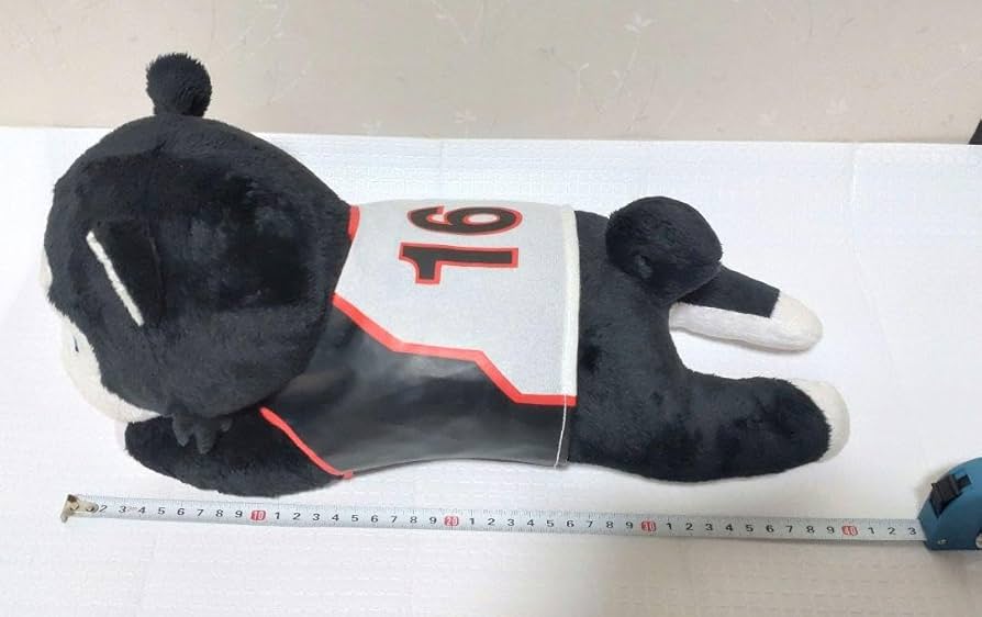 Amazon.co.jp: 黒子のバスケ 黒バス テツヤ2号 ぬいぐるみ : ホビー