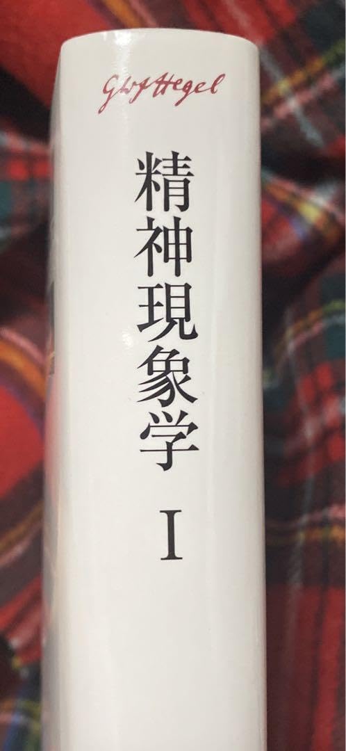 Amazon.co.jp: ヘーゲル全集 第8巻1 精神現象学 知泉書館 : おもちゃ