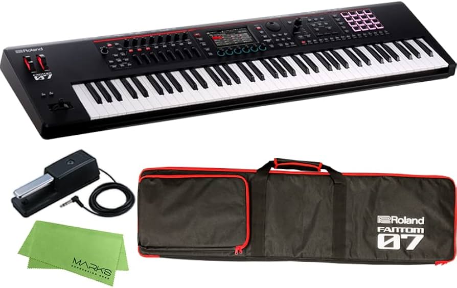 Amazon.co.jp: 【専用ソフトケース + DP-10 セット】Roland ローランド