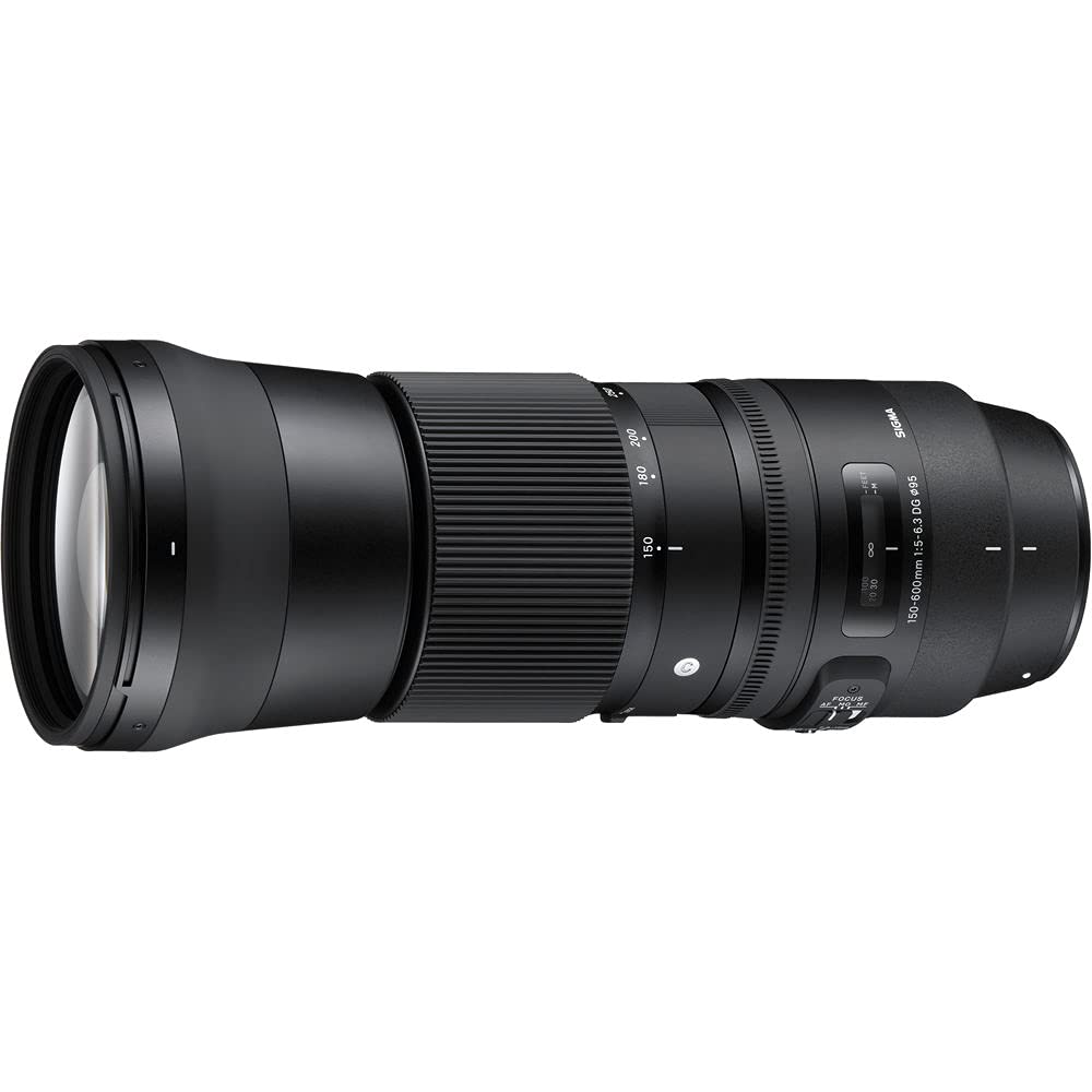 Amazon.com : Sigma 150-600mm F5-6.3 DG Contemporary Lens for Nikon