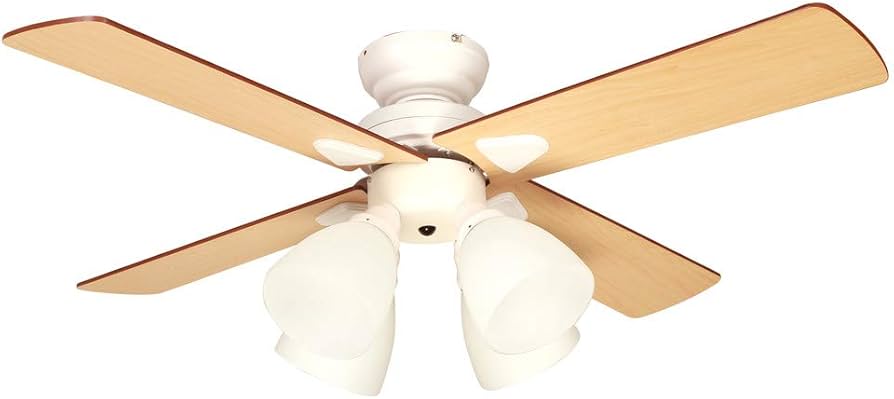 Amazon | plusmore(プラスモア) シーリングファン Windouble 4灯 BIG