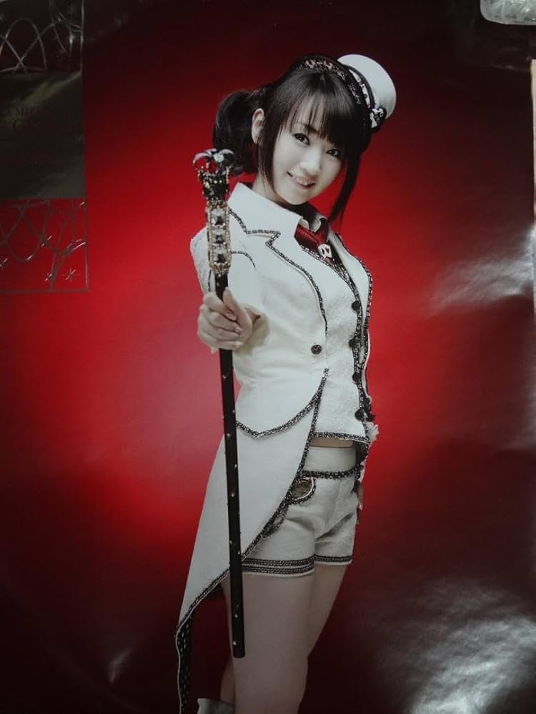 注文 水樹奈々 シンガー・声優 ○ B2ポスター大量 20枚セット 水樹奈々