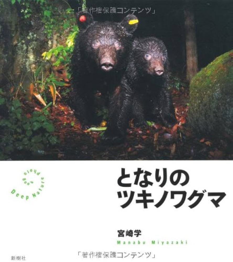 Amazon.co.jp: となりのツキノワグマ (Deep Nature Photo Book) : 宮崎