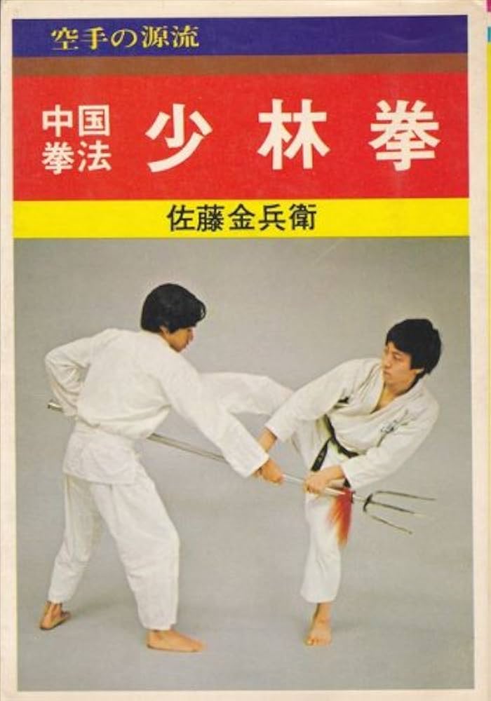 マココさん専用 内家拳 秘伝口訣 佐藤金兵衛 マココさん専用 内家拳