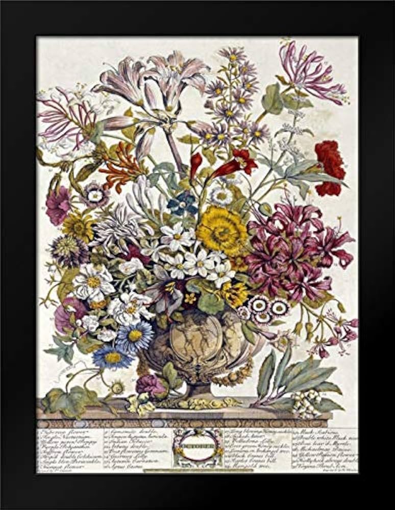 Amazon.com: October - Twelve Months of Flowers Framed Art Print by