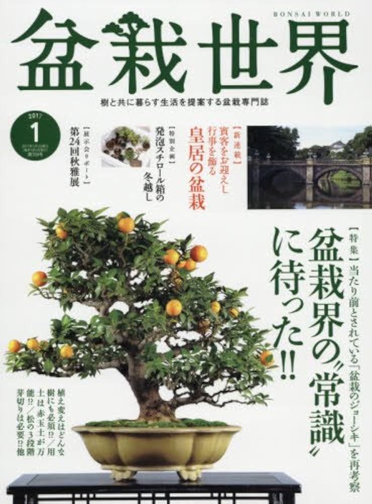 盆栽世界17冊＋その他盆栽雑誌・本セット
