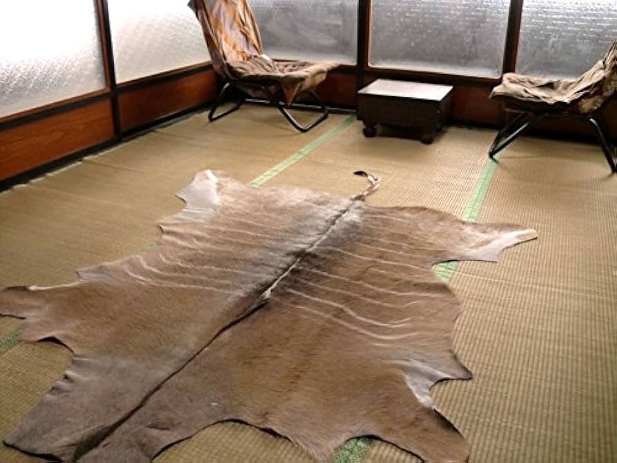 Amazon｜クーズー敷物約200×136cm ラグマット 北欧 夏