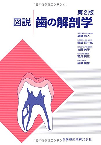 図説歯の解剖学第2版 | 高橋 和人 |本 | 通販 | Amazon