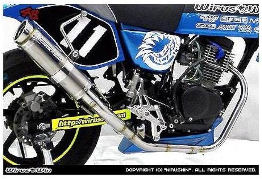 Amazon | ウイルズウィン(WirusWin) レーシングマフラー APE100タイプD