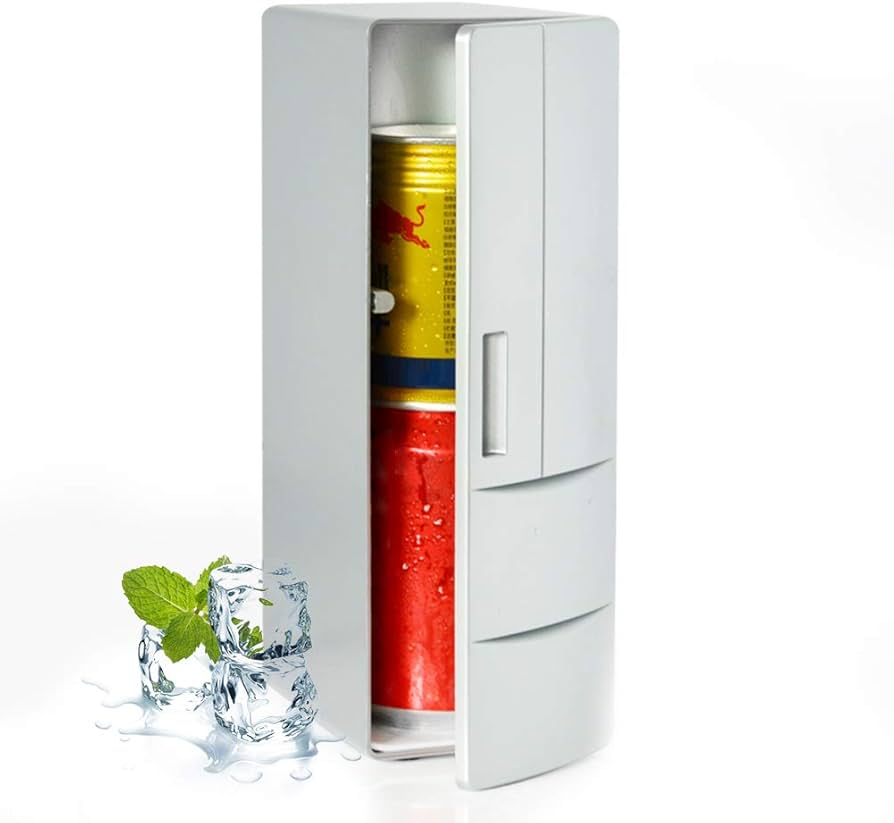 Amazon.co.jp: HANSHUMY 超ミニ冷蔵庫 家庭＆車載両用 ポータブル