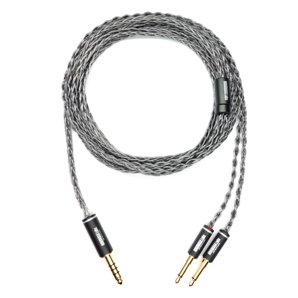 Amazon | NOBUNAGA Labs 比叡 (ひえい) 【4.4mm5極バランス/3.5mm2極×2