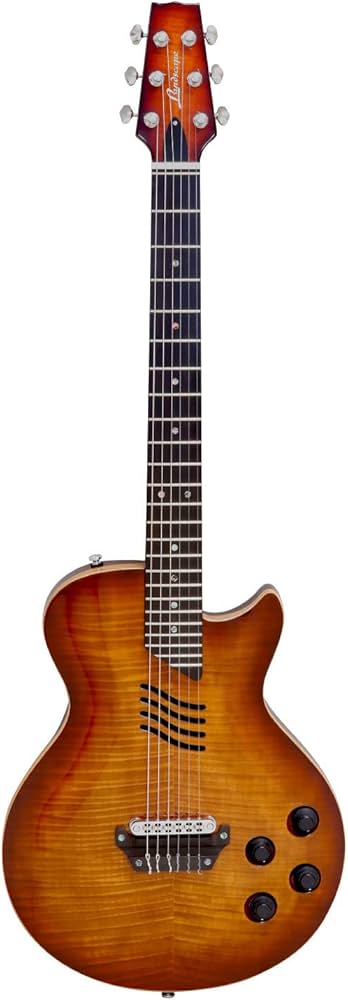 Amazon | LANDSCAPE (ランドスケープ) エレアコ エレガット ギター SE