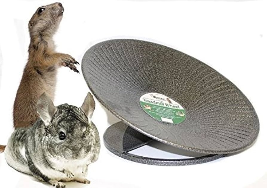 Amazon.co.jp: Exsotic トレッドミルホイール 直径36cm 床置き式の回し