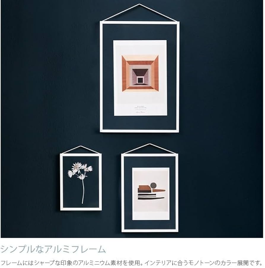 Amazon.co.jp: MOEBE / フレーム A2(Aluminium(Black) : ホーム＆キッチン