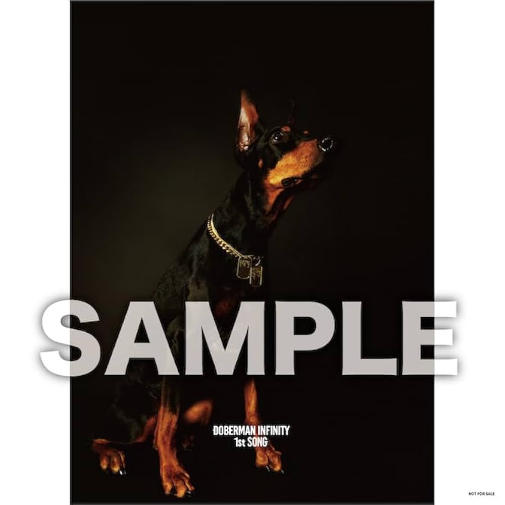 Amazon.co.jp: DOBERMAN INFINITY : 【Amazon.co.jp限定】1st SONG(CD+