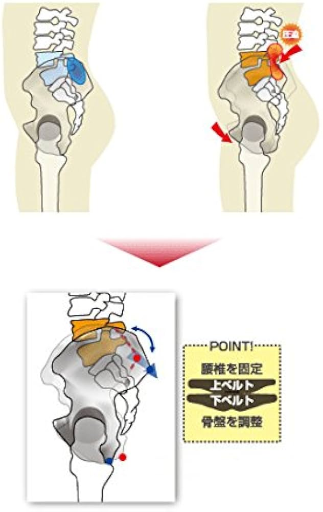 Amazon.co.jp: SKP整体が作った奇跡の骨盤ベルト 骨盤先生 上下セット