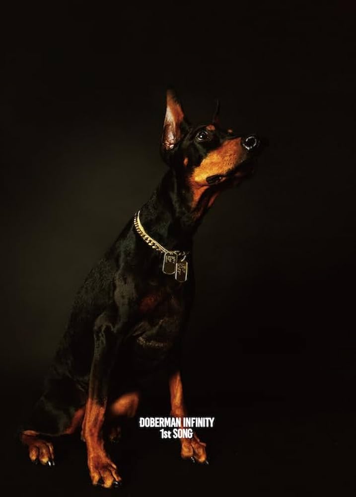 Amazon.co.jp: 1st SONG(CD+DVD)(初回生産限定) - DOBERMAN INFINITY