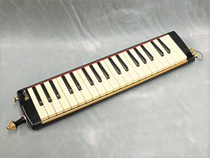 Amazon | SUZUKI PRO-37 V3 [メロディオン/アルト37鍵] 【鍵盤