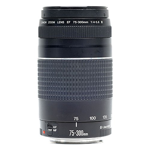 Amazon.com : Canon EF 75-300mm f/4-5.6 III Telephoto Zoom Lens for