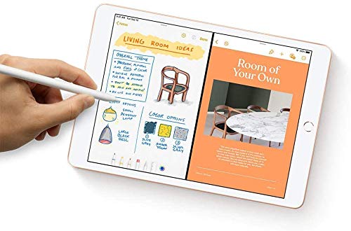 Amazon.com: Apple iPad (10.2-Inch, Wi-Fi + Cellular, 128GB) - Gold