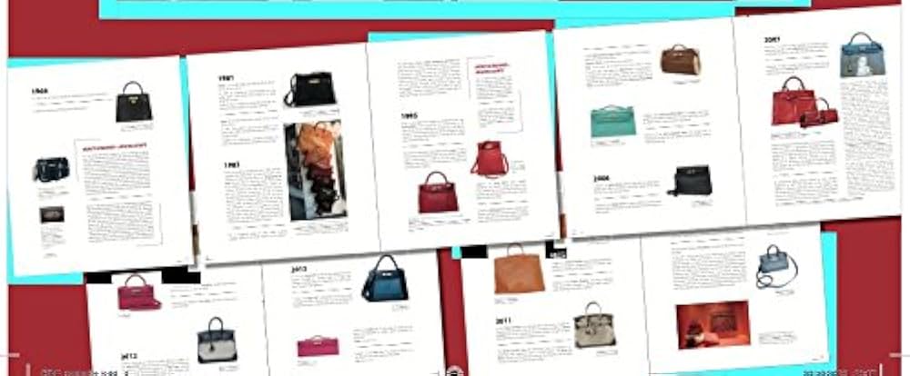 Amazon.com: MEMOIRE DES SACS HERMES I - KELLY, HAC, BIRKIN