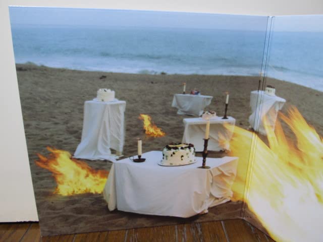 Amazon.co.jp: Single Collection five-star 2LP (analog) YUKI (JUDY