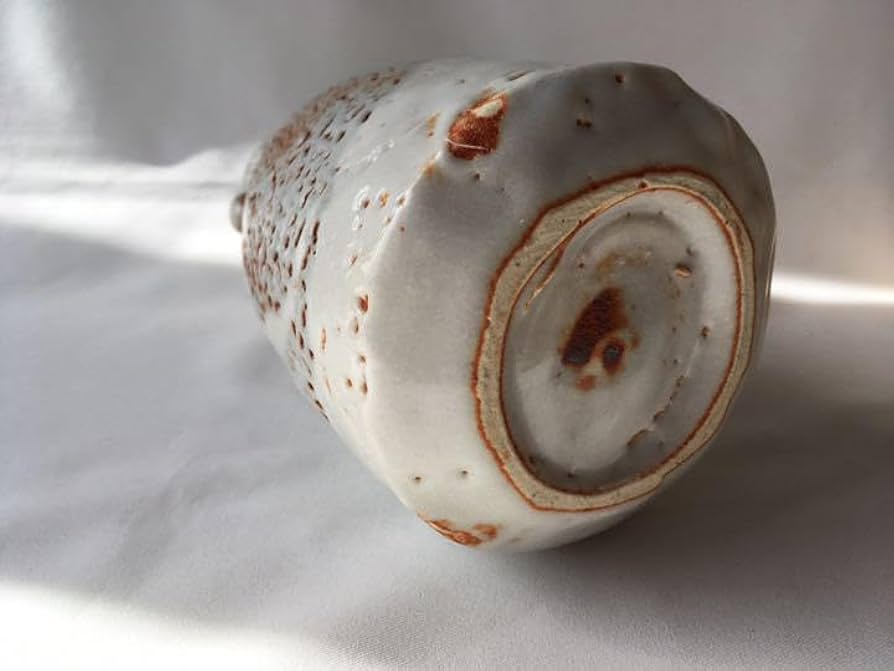 41zCLvu3+QL._AC_UF894,