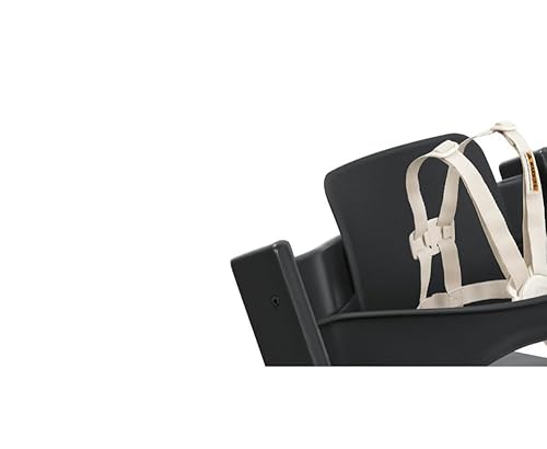 Amazon.com : Stokke Tripp Trapp High Chair 2, Black - Includes