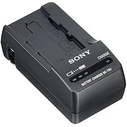 Amazon | SONY(ソニー) 【AX60 と バッテリーチャージャー セット