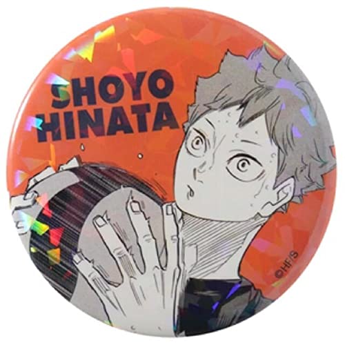 Amazon.co.jp: ハイキュー 日向翔陽 オールスター 缶バッジ 4 : おもちゃ