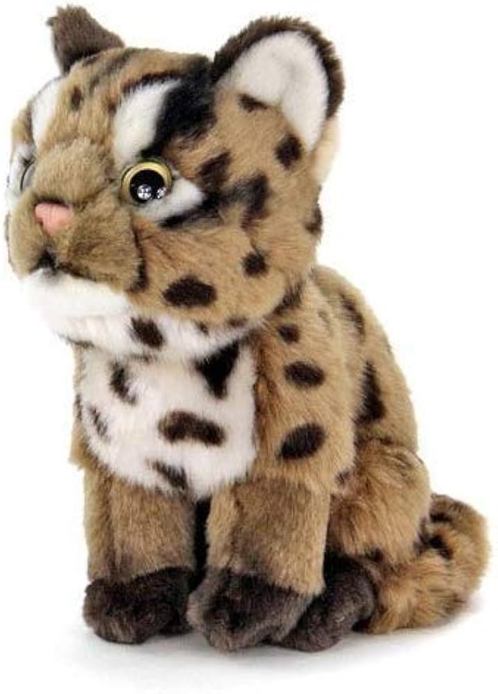 Amazon.co.jp: カロラータ イリオモテヤマネコ ぬいぐるみ (リアル