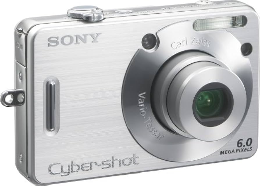 Amazon.com : Sony Cybershot DSCW50 6MP Digital Camera with 3x