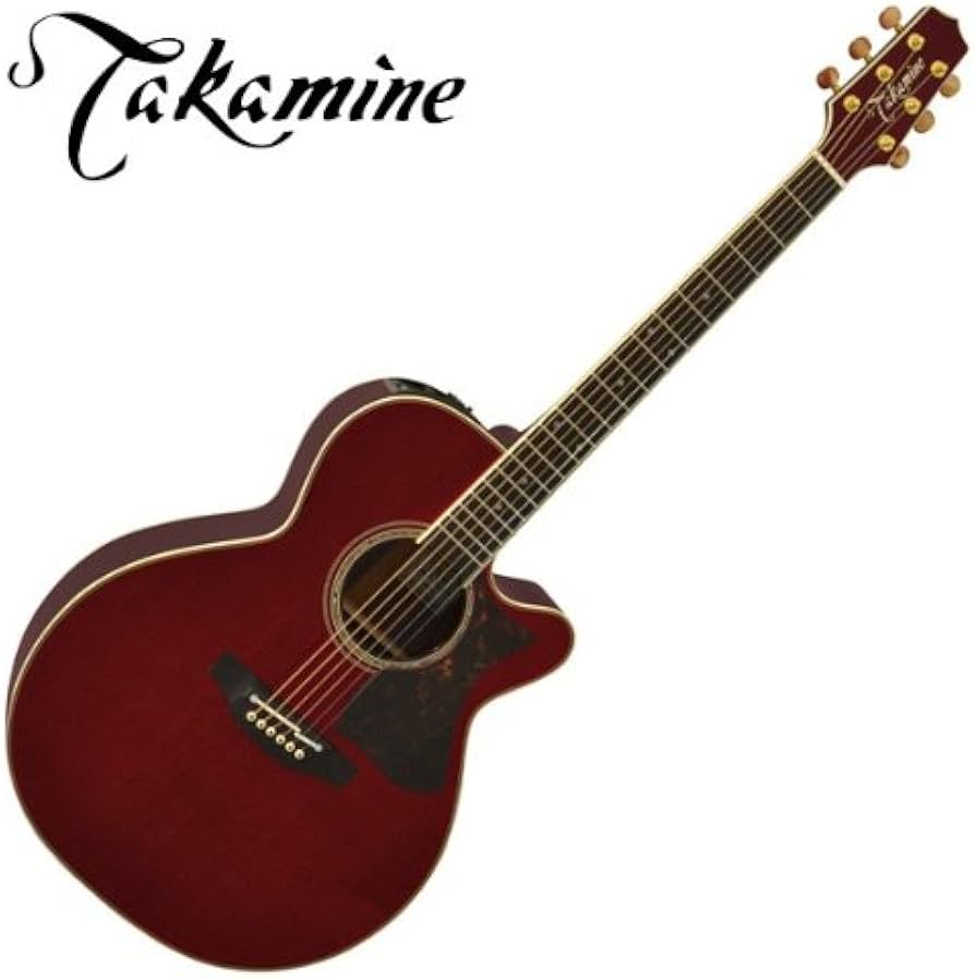 Amazon | Takamine DMP50S WR エレアコギター 島村楽器 x Takamine