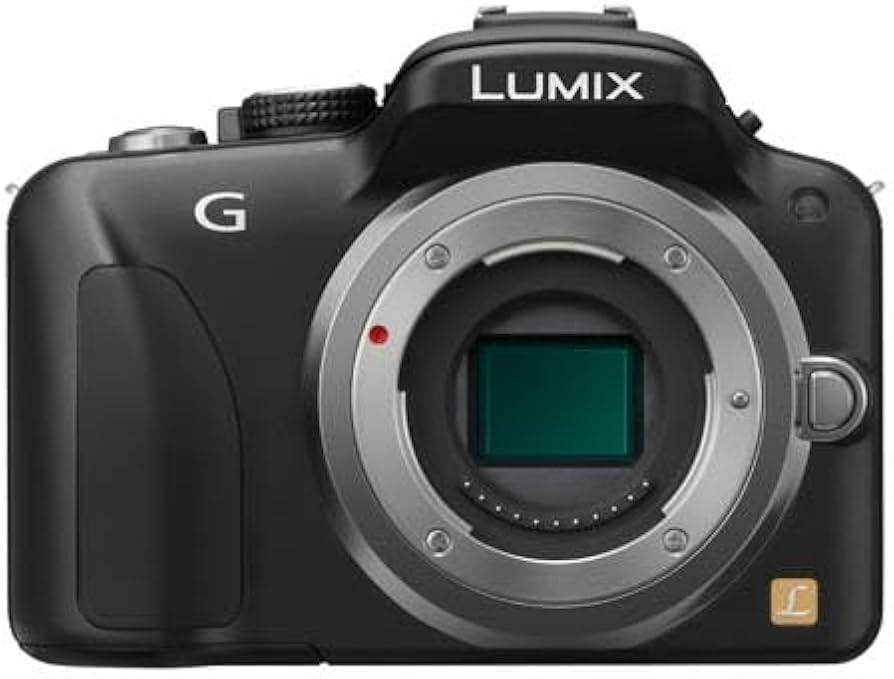 Amazon.com : Panasonic LUMIX DMC-G3 16 MP Micro Four-Thirds
