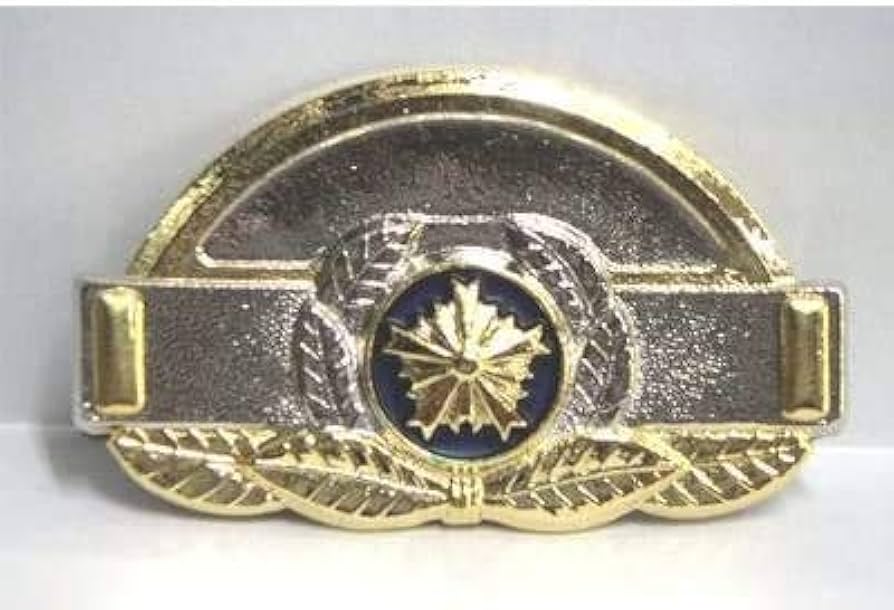 Amazon.co.jp: 階級章（レプリカ）◇警察グッズ 撮影用 観賞用 演劇用