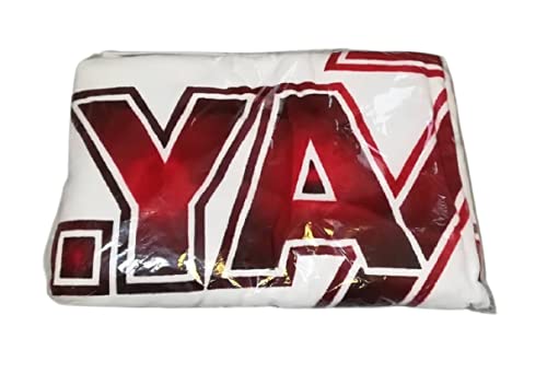 Amazon.co.jp: 矢沢永吉（EIKICHI YAZAWA）スペシャルビーチタオル