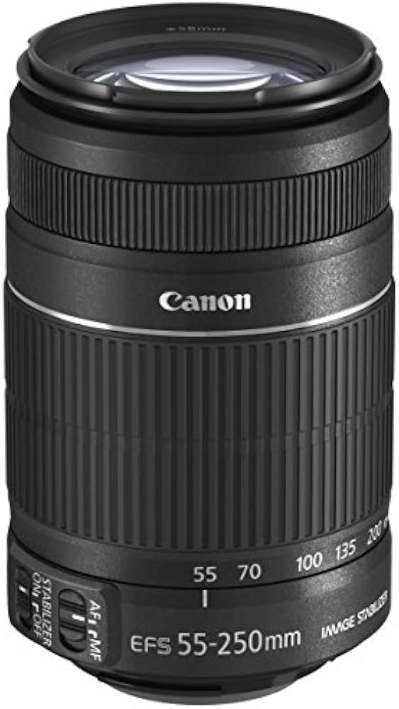 Canon Ef-S 55-250Mm F/4-5.6 is Ii Telephoto Zoom Lens for DSLR